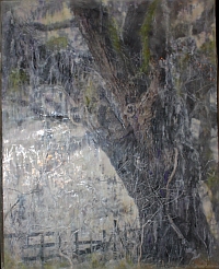 Winter Light Ossabaw Island